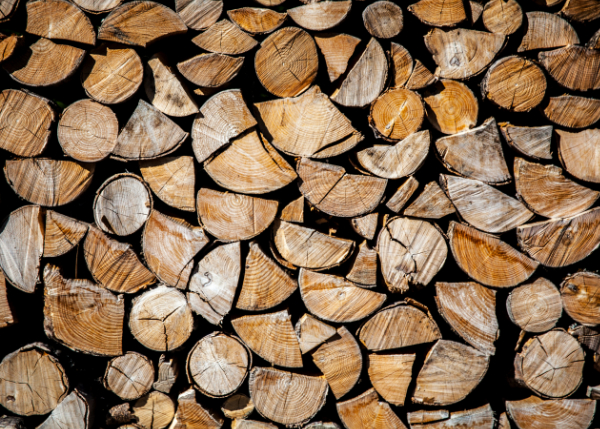 about-greenforet-img